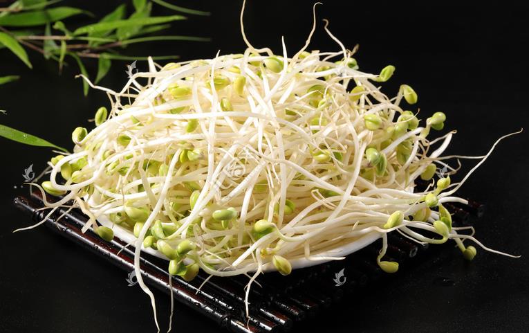 無(wú)公害綠色豆芽，怎么生產(chǎn)出來(lái)的？全套生產(chǎn)過(guò)程如此方便智能